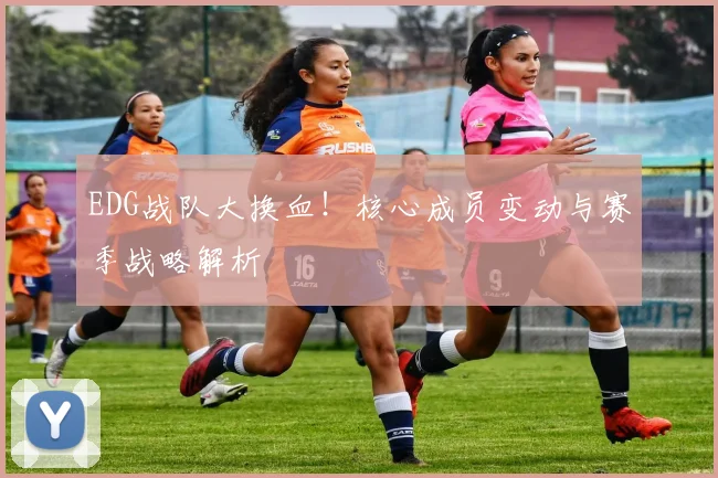 EDG战队大换血!核心成员变动与赛季战略解析