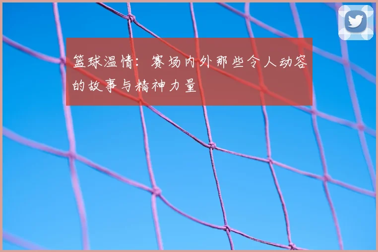 篮球温情：赛场内外那些令人动容的故事与精神力量